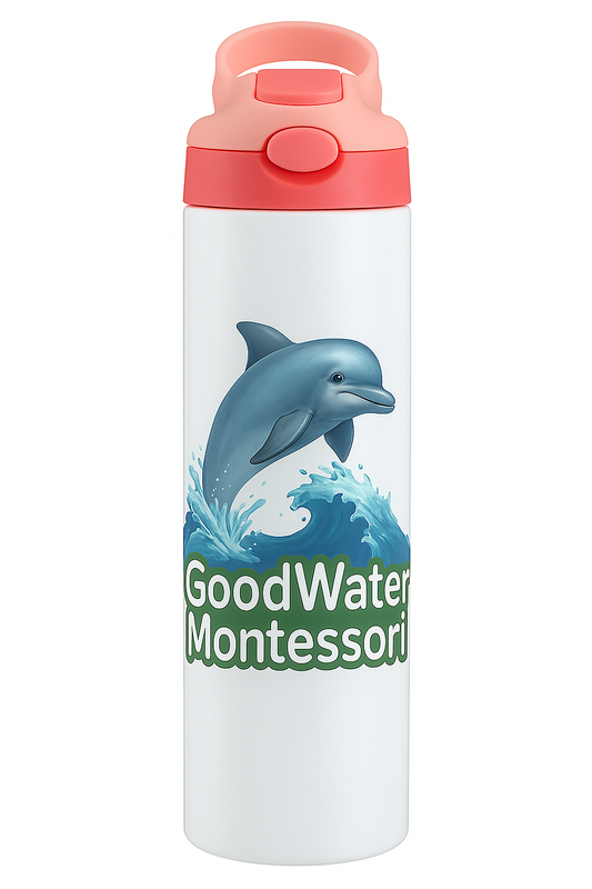 GoodWater 20oz Stainless Steel Water Bottle with Colorful Lids