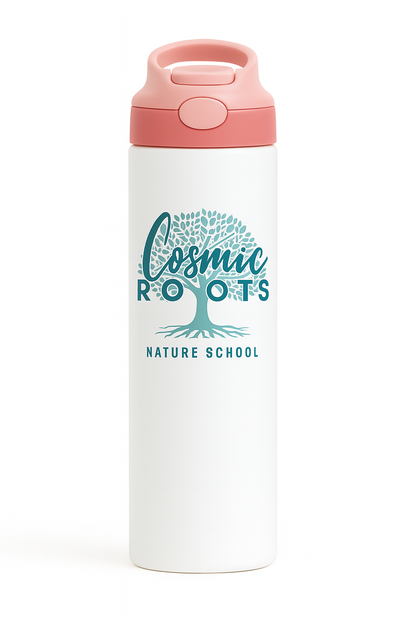 Cosmic 20oz Stainless Steel Water Bottle with Colorful Lids